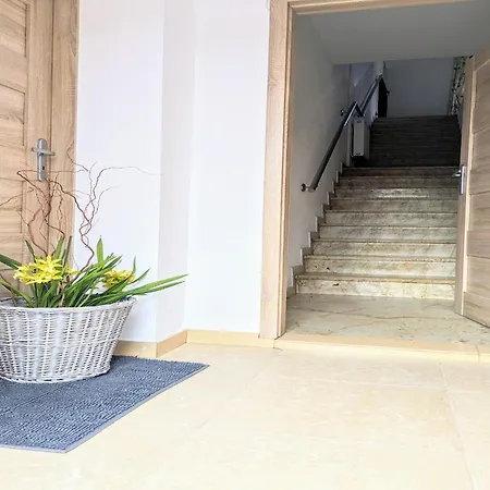 Large With Sauna Daire